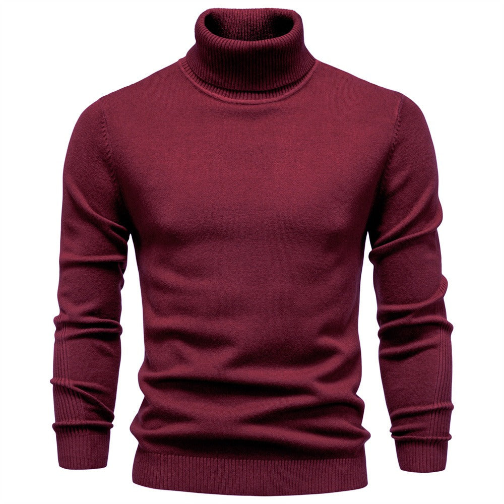Men's Ribbed Turtleneck Knit Pullover